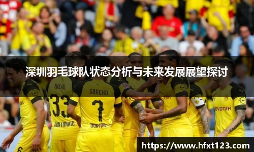 深圳羽毛球队状态分析与未来发展展望探讨